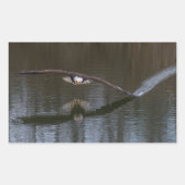 Bald Eagle in Flight 長方形シール (正面)