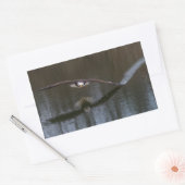 Bald Eagle in Flight 長方形シール (封筒)
