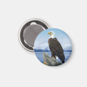 Bald Eagle Magnet マグネット (正面/裏面)