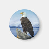 Bald Eagle Magnet マグネット (正面)