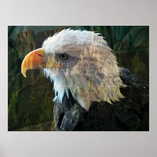 Bald Eagle Mountainポスター ポスター (正面)