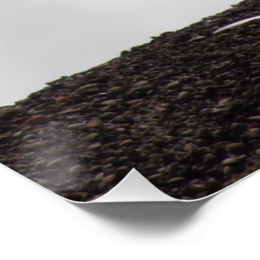 Bald Eagle on High Ground Glossy Poster ポスター (コーナー)