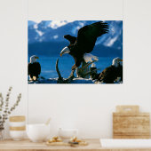 Bald Eagle on log poster ポスター (キッチン)