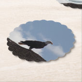 Bald Eagle Paper Coasters ペーパーコースター (アングル)