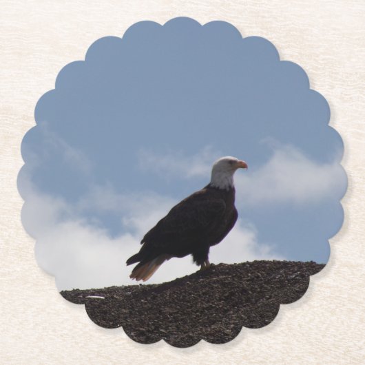 Bald Eagle Paper Coasters ペーパーコースター (正面)