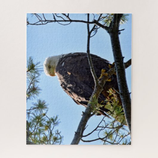 Bald Eagle Perch - 16x20 - 520個 ジグソーパズル (縦)