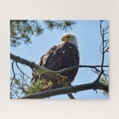 Bald Eagle Perch - 16x20 - 520個 ジグソーパズル (横)