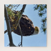 Bald Eagle Perch - 20x20 - 676個。 ジグソーパズル (横)