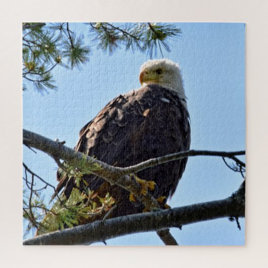 Bald Eagle Perch - 20x20 - 676個。 ジグソーパズル (縦)