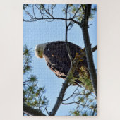 Bald Eagle Perch - 20x30 - 1014個。 ジグソーパズル (縦)