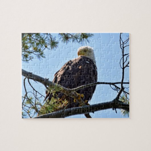 Bald Eagle Perch - 8x10 - 110個。 ジグソーパズル (横)