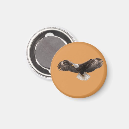  bald eagle pin , commonly sold as  マグネット (正面/裏面)
