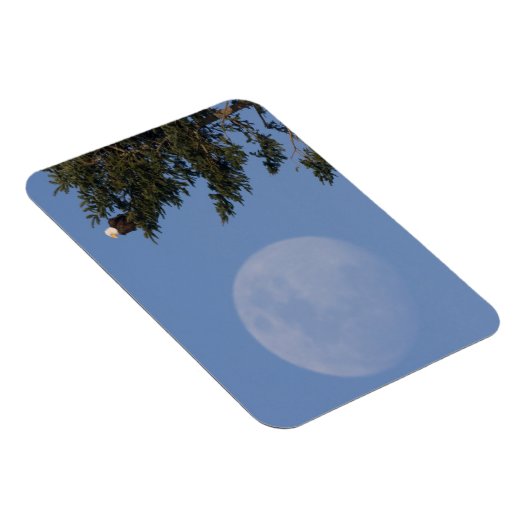 Bald Eagle | Rising Full Moon マグネット (右側)