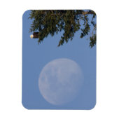 Bald Eagle | Rising Full Moon マグネット (縦)