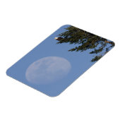 Bald Eagle | Rising Full Moon マグネット (左側)