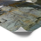 Bald Eagle Rock Wall Reflections In Water ポスター (角)