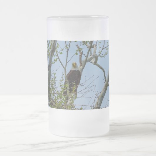 Bald Eagle Smile Frosted Glass Beer Mug フロストグラスビールジョッキ (中央)