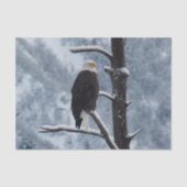 Bald Eagle Snow Tree写真 薄葉紙 (正面)