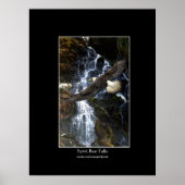 Bald Eagle, Spirit Bear & Water Fall Art Poster ポスター (正面)