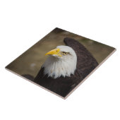 Bald Eagle Strength – Decorative Ceramic Tile タイル (側面)