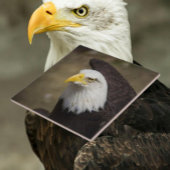 Bald Eagle Strength – Decorative Ceramic Tile タイル