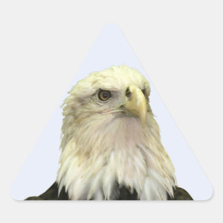 Bald Eagle Triangleステッカー 三角形シール