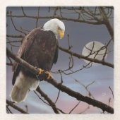 Bald Eagle Under Full Moon Wildlife ガラスコースター (正面)
