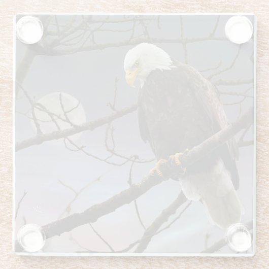 Bald Eagle Under Full Moon Wildlife ガラスコースター (裏面)