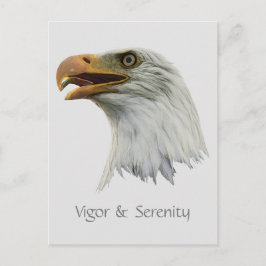 Bald Eagle Vigor & Serenityカスタマイズ可能 ポストカード