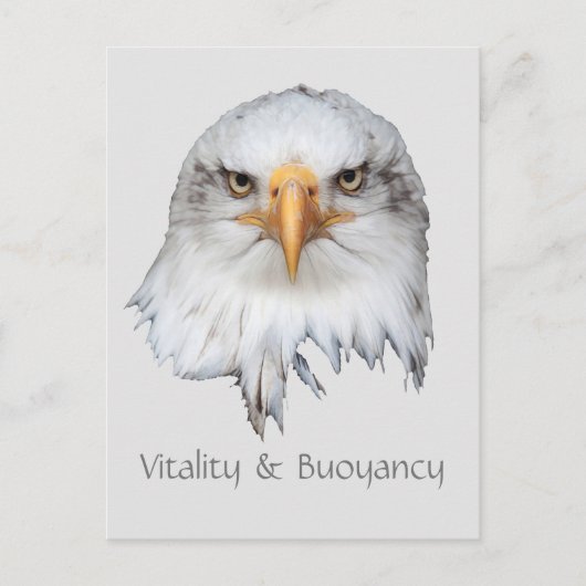 Bald Eagle Vitality & Buoyancyカスタマイズ可能 ポストカード (正面)
