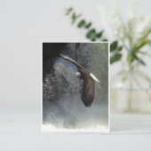 BALD EAGLE & WATER秋はがき ポストカード (スタンド正面)