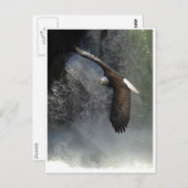 BALD EAGLE & WATER秋はがき ポストカード (正面/裏面)