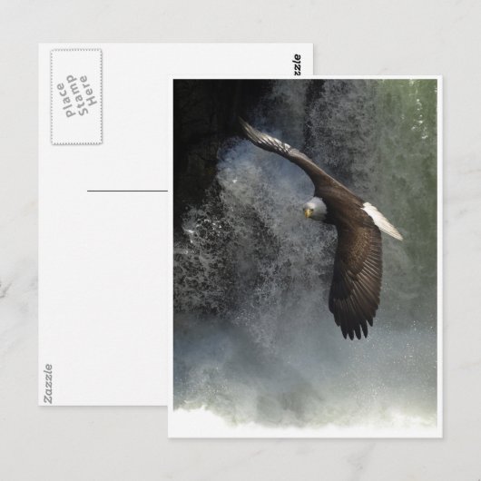BALD EAGLE & WATER秋はがき ポストカード (正面/裏面)