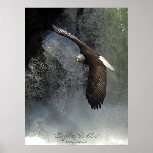 Bald Eagle & Waterfallポスター ポスター (正面)