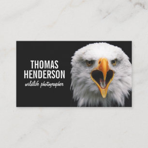 Bald Eagle Wildlife Photographer名刺 名刺
