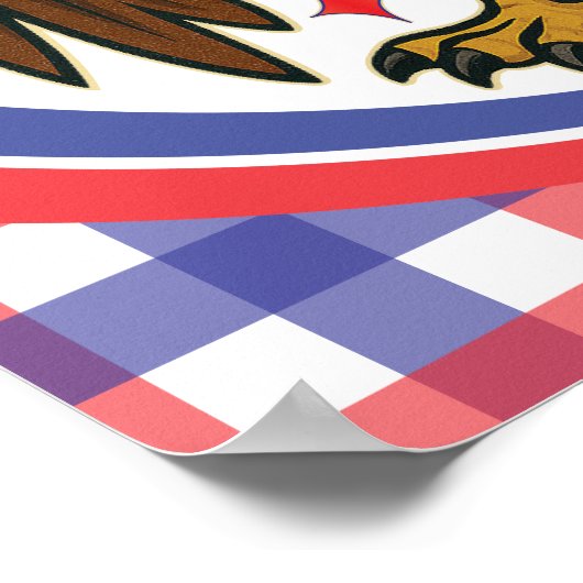 Bald Eagle with Fireworks- USA 250年1776-2026 ポスター (角)