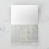 Bald Eagle with Salmon Pacific Northwest Blank Hol シーズンカード (内部)