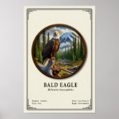 Bald Eagle Zoology Series ポスター (正面)
