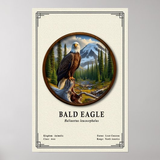 Bald Eagle Zoology Series ポスター (正面)