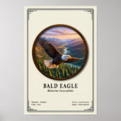Bald Eagle Zoology Series ポスター (正面)