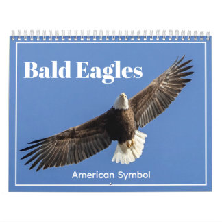 Bald Eagles, American Symbol Calendar カレンダー