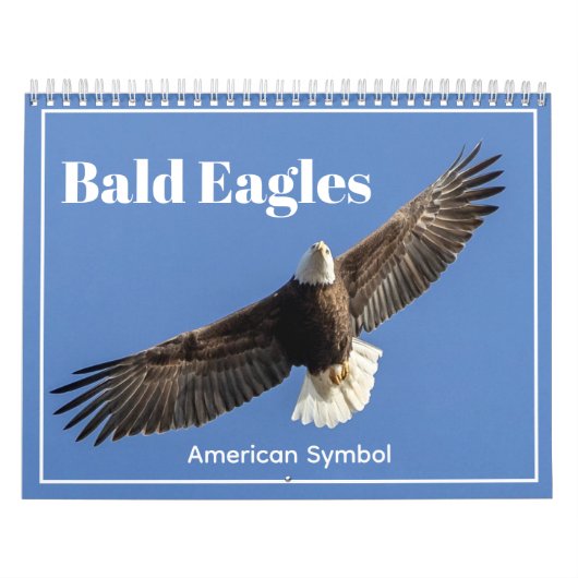 Bald Eagles, American Symbol Calendar カレンダー (カバー)