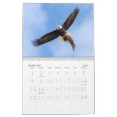 Bald Eagles, American Symbol Calendar カレンダー (2月 2026)