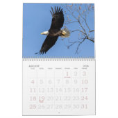 Bald Eagles, American Symbol Calendar カレンダー (1月 2026)