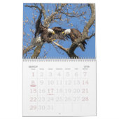 Bald Eagles, American Symbol Calendar カレンダー (3月 2026)