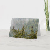 Bald Eagles | Tongass National Forest Alaska カード (正面)