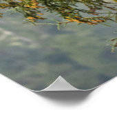 Bald Eagles | Tongass National Forest Alaska ポスター (角)