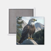 Bald Eagle's Wildlife: Aquila Bird of Prey, Erne マグネット (正面/裏面)
