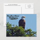 Bald EagleSan Juan Island,ワシントン葉書 ポストカード (正面/裏面)