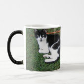 Baldwinの農場の変形させるマグ モーフィングマグカップ (左)